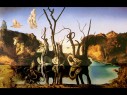 dali-swans-reflecting-elephants