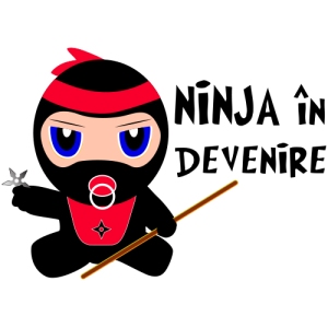 ninja_in_devenire_categorie-500x500