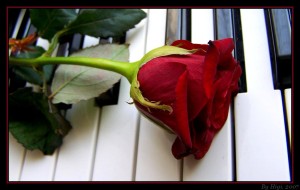 rose_on_piano_by_yhdenenkelinunelma